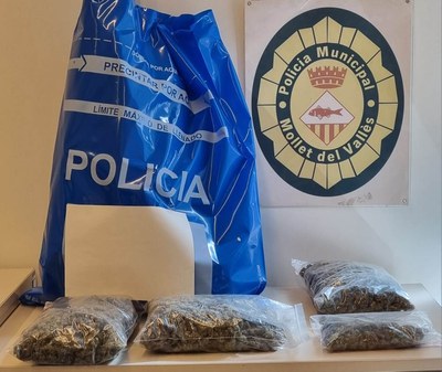 Marihuana incautada.
