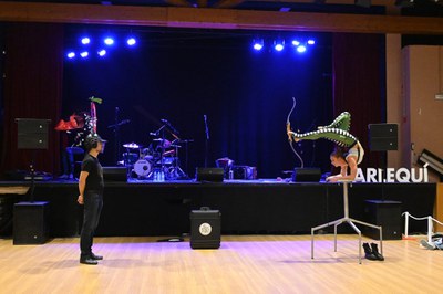 Sara Twister Arlequí.