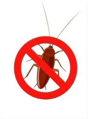 Mollet intensifica la lluita contra les plagues davant l’arribada de la calor