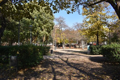 Mollet planta prop de 500 nous arbres amb una aposta clara per espècies més resilients al canvi climàtic