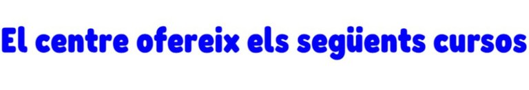 El centre ofereix els següents cursos: