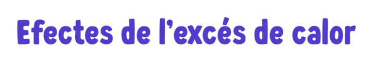 Efectes excés de calor.jpg