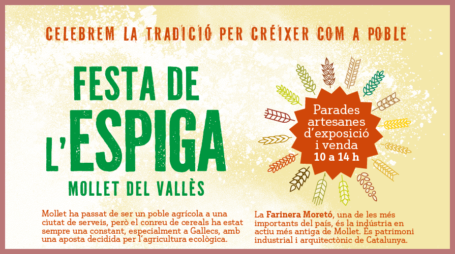 ESPIGA 26 3.png