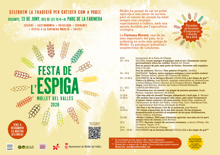 ESPIGA 26 5.png