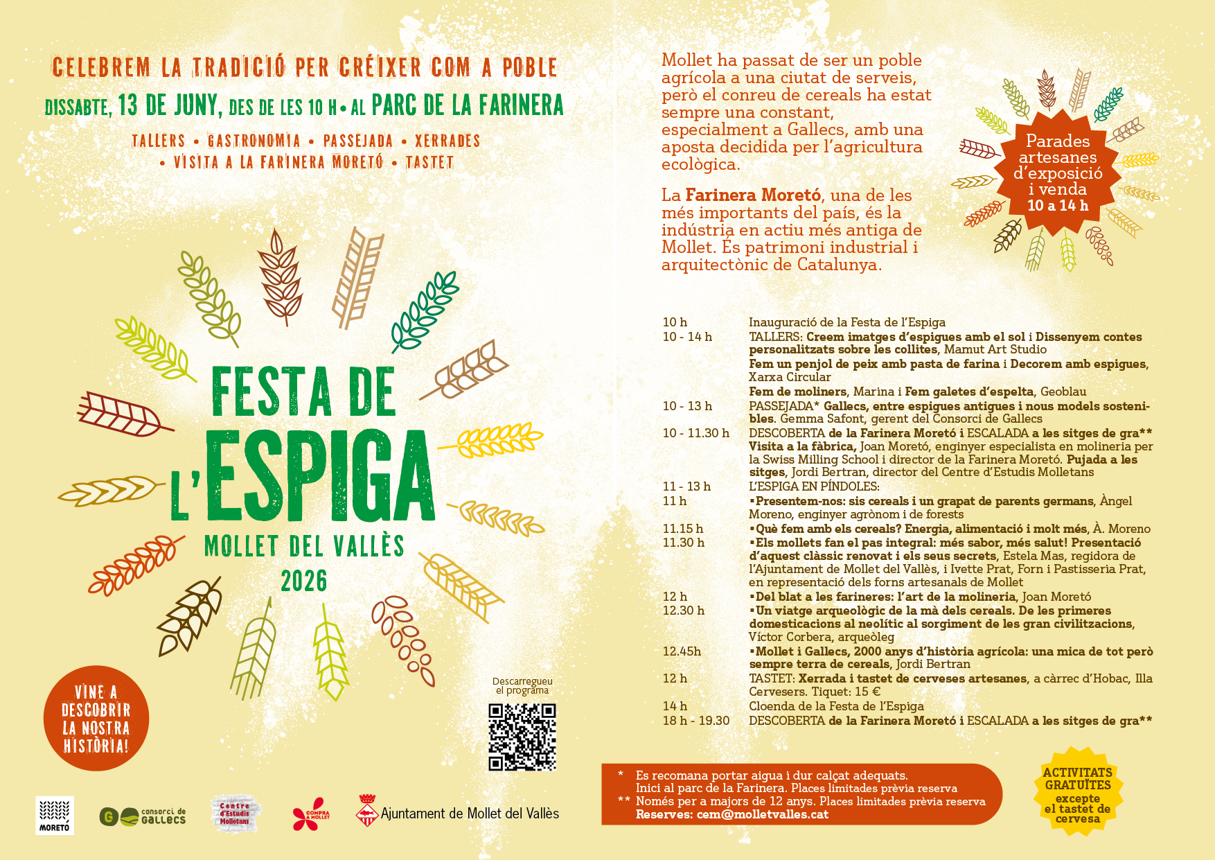 ESPIGA 26 5.png