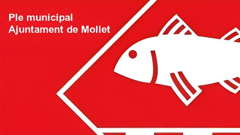 Notes de premsa de l'Ajuntament.