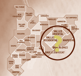 VII Jornades monogràfiques: El Baix Vallès: realitat o ficció? (2004).