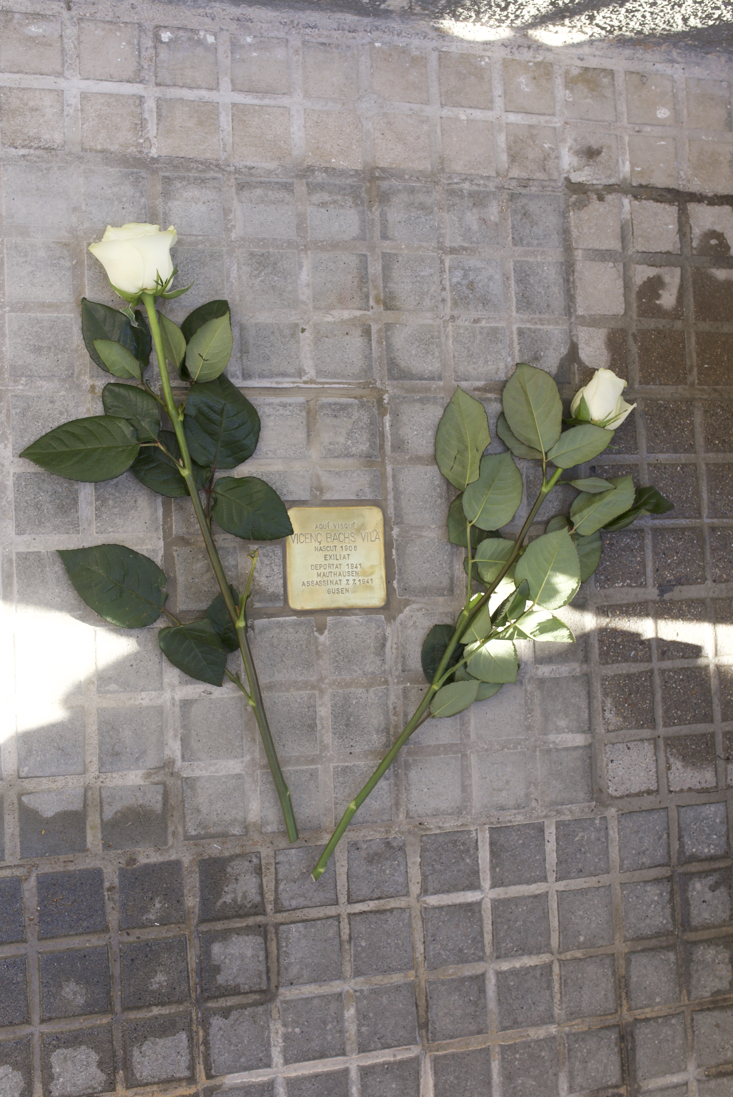 Llamborda de Vicenç Bachs Vilà