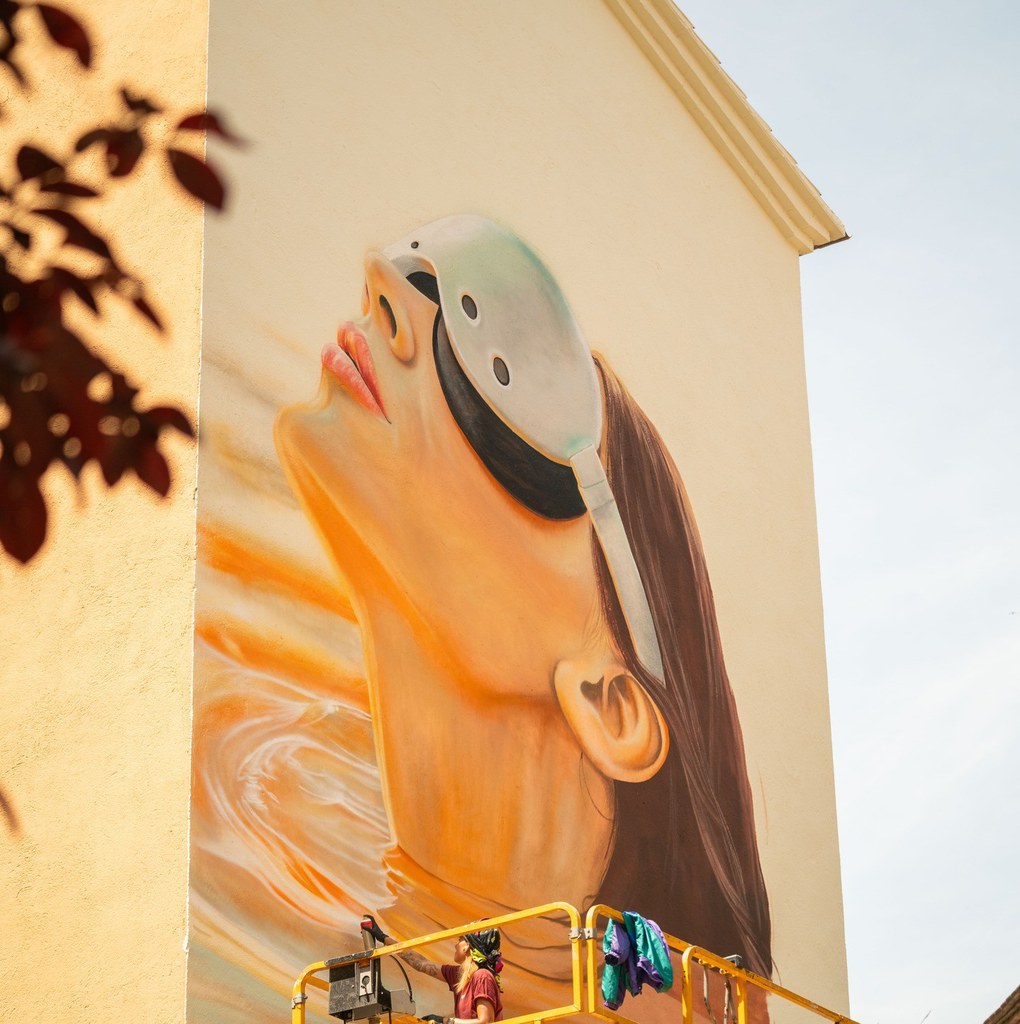 Art de carrer (murals de Pintalis).