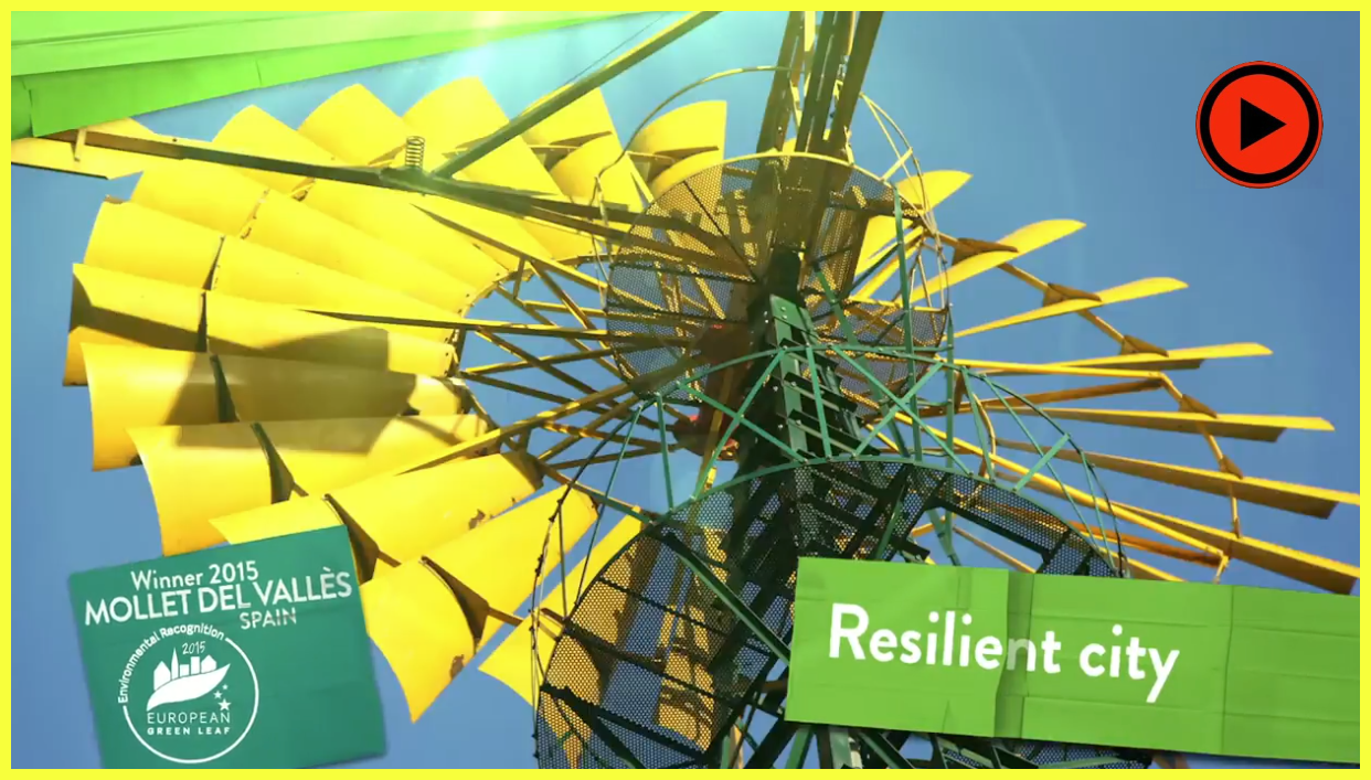 MOLI 2 25-overlay.png