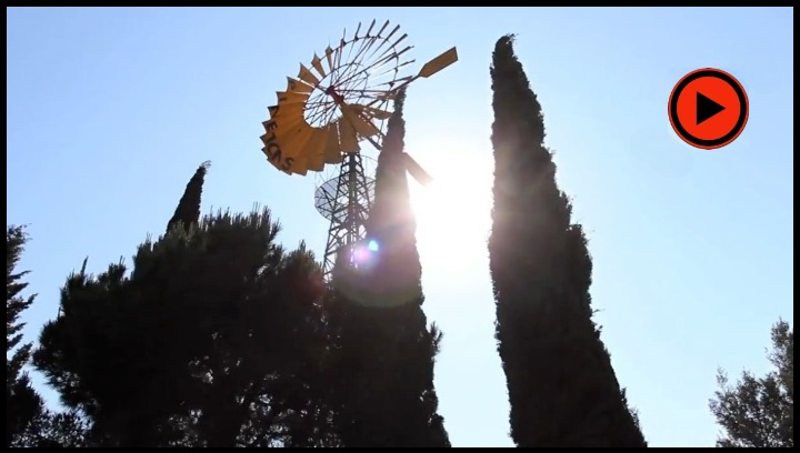 MOLÍ 25-overlay_cleanup.png