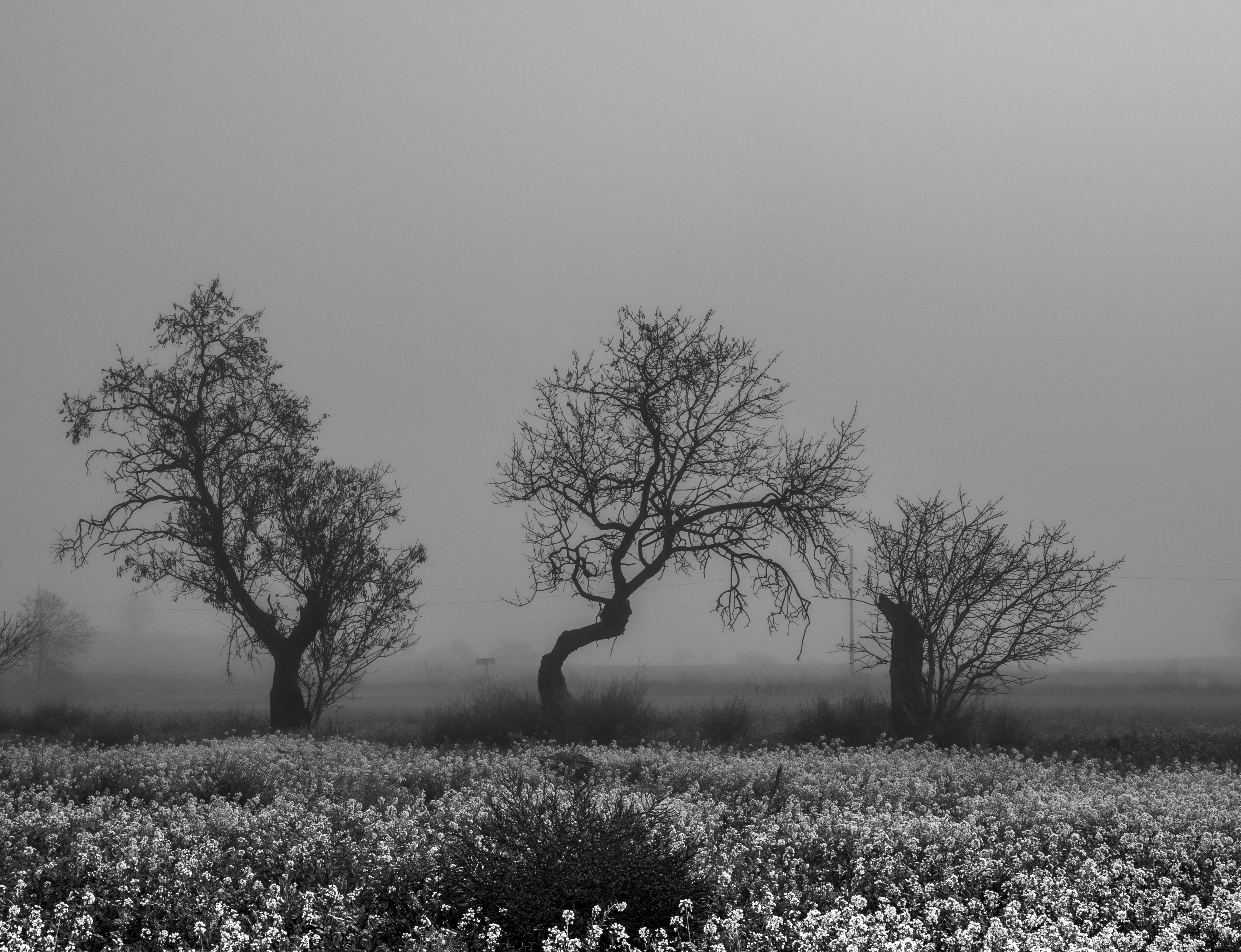 PREMI LLIURE -BOIRES.jpg