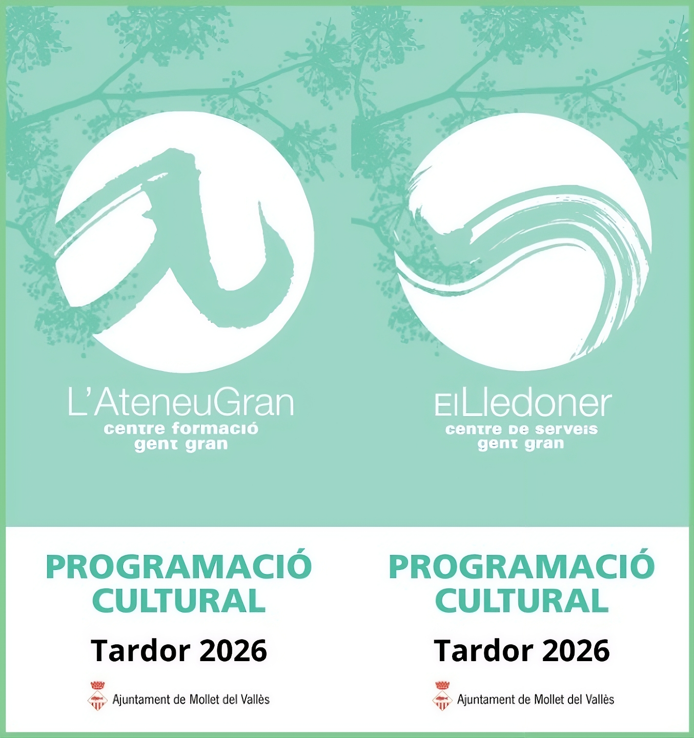 PROTAR 26.png