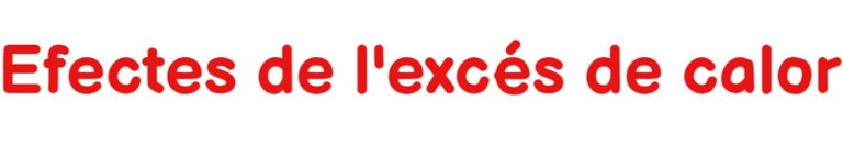 Efectes de l'excés de calor
