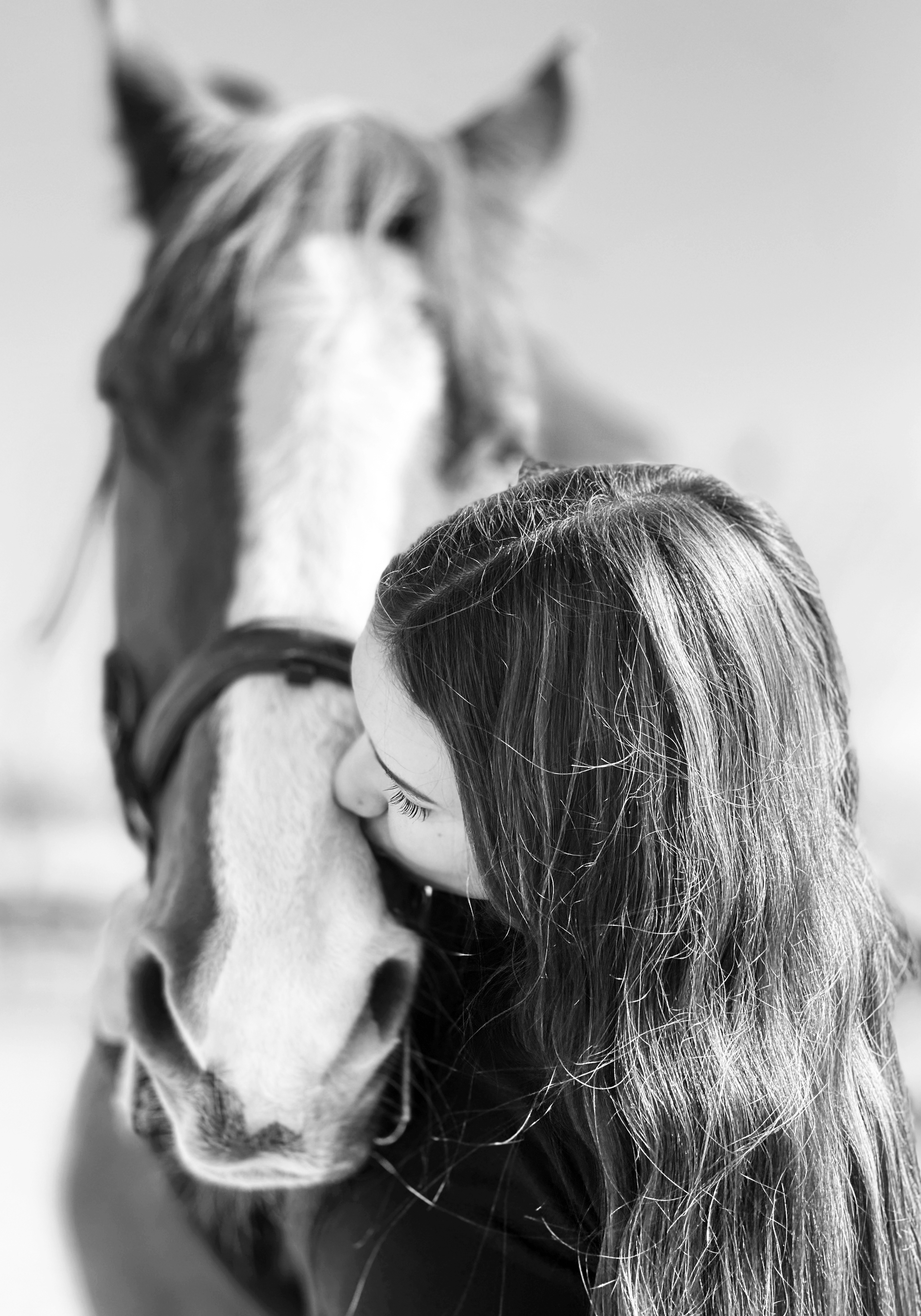 L'idioma del silenci