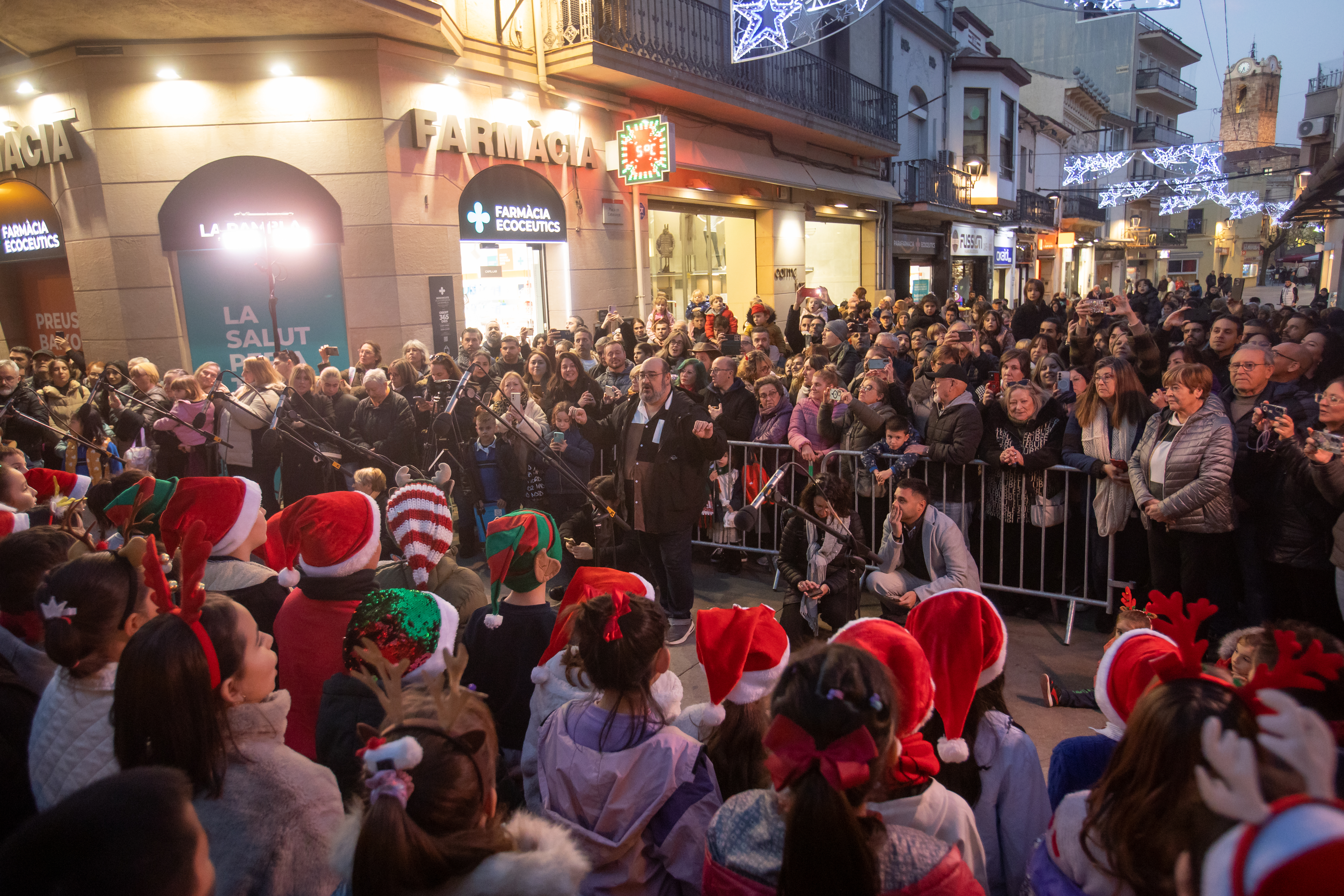 Nadal i Reis 2025 / 2026