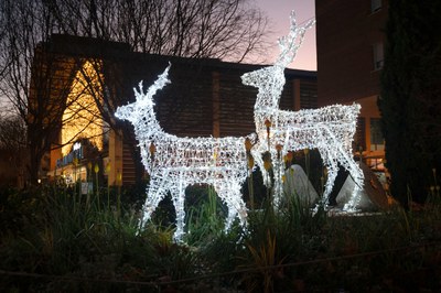 Nadal i Reis 2025 / 2026