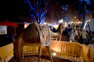 Nadal i Reis 2025 / 2026