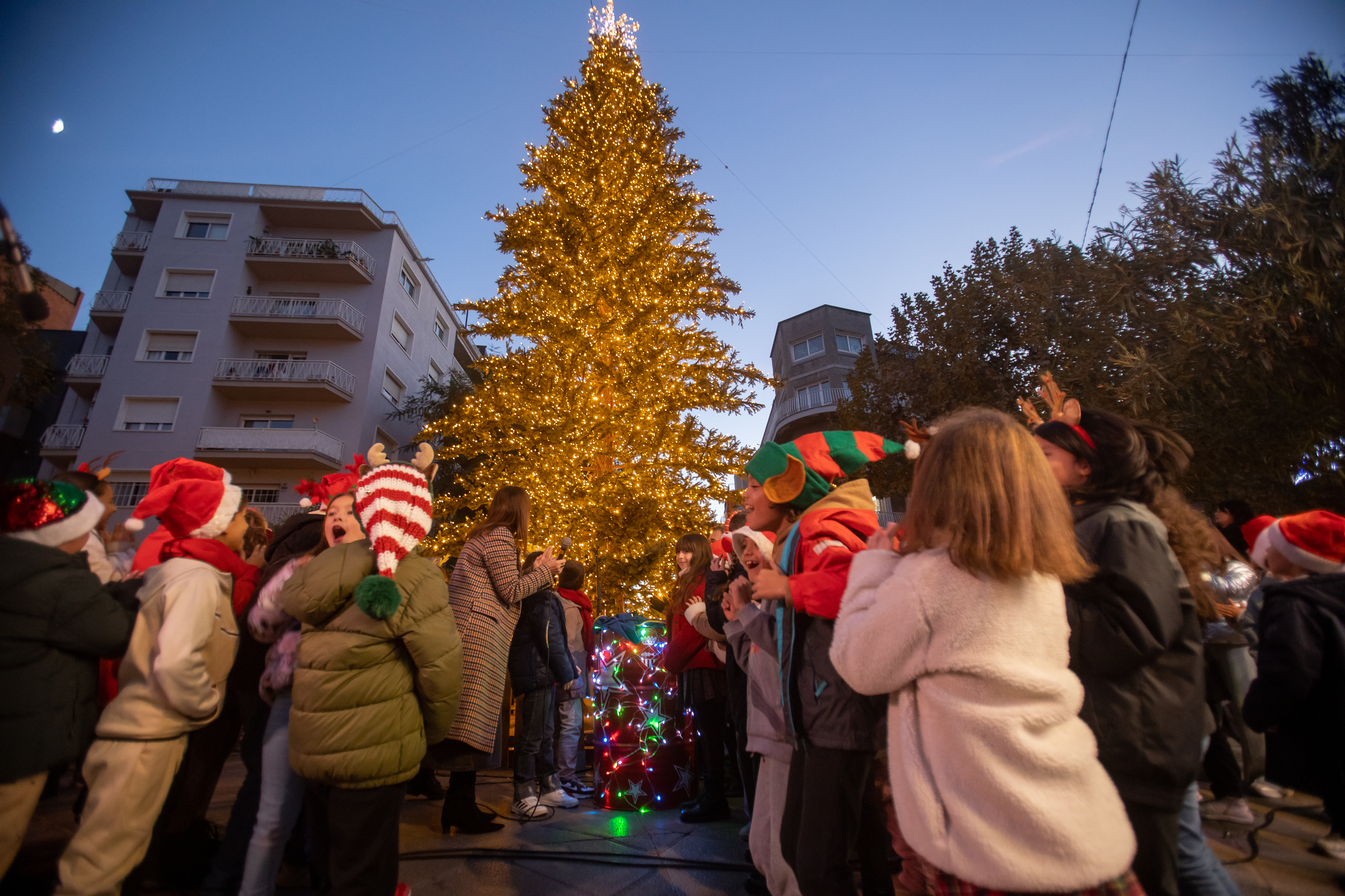 Nadal i Reis 2025 / 2026