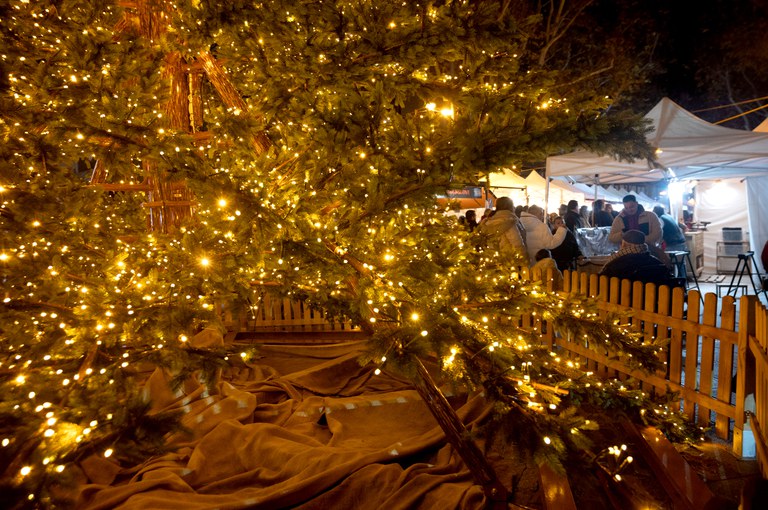 Nadal i Reis 2025 / 2026