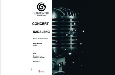 Concert de Nadal .