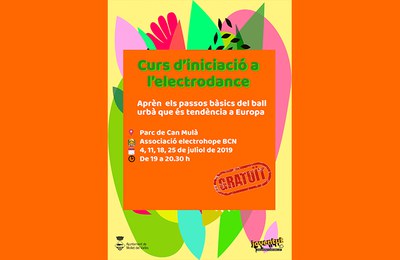 Curs d'electrodance.