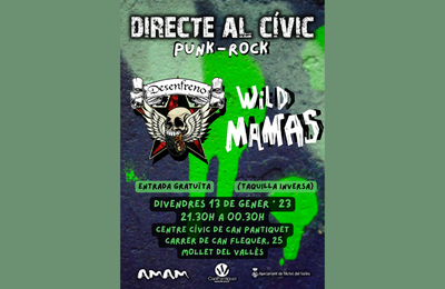 Directe Al Cívic - Punk/Rock.
