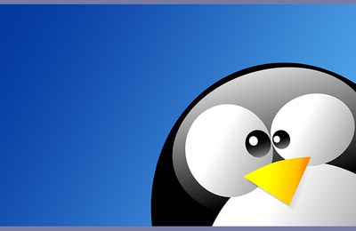 Introducció al linux.