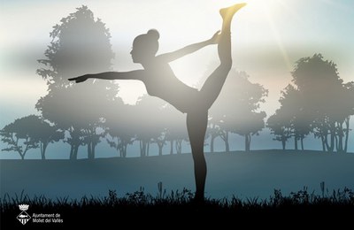 Master Class de Pilates .