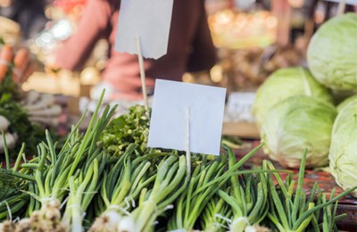 Hort urbà  .