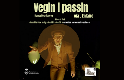 Vegin i passin.