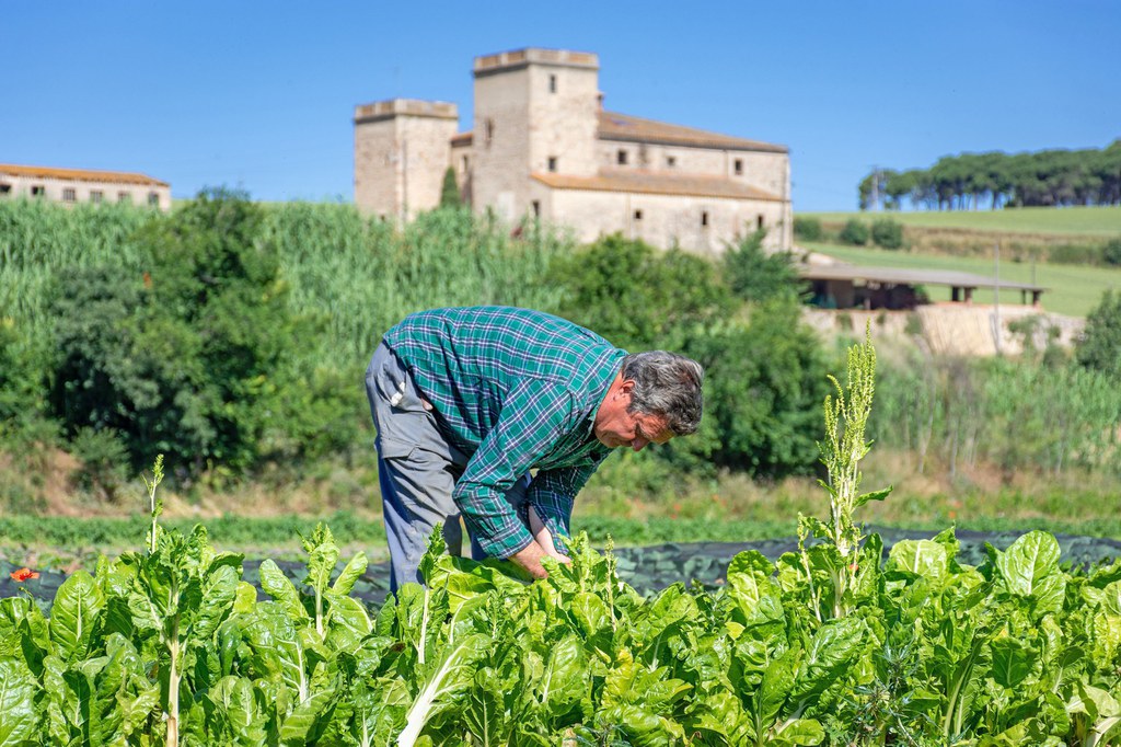 L’oferta gastronòmica a Mollet del Vallès.