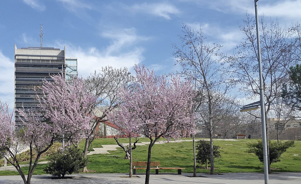 Plaça de Pau Casals.
