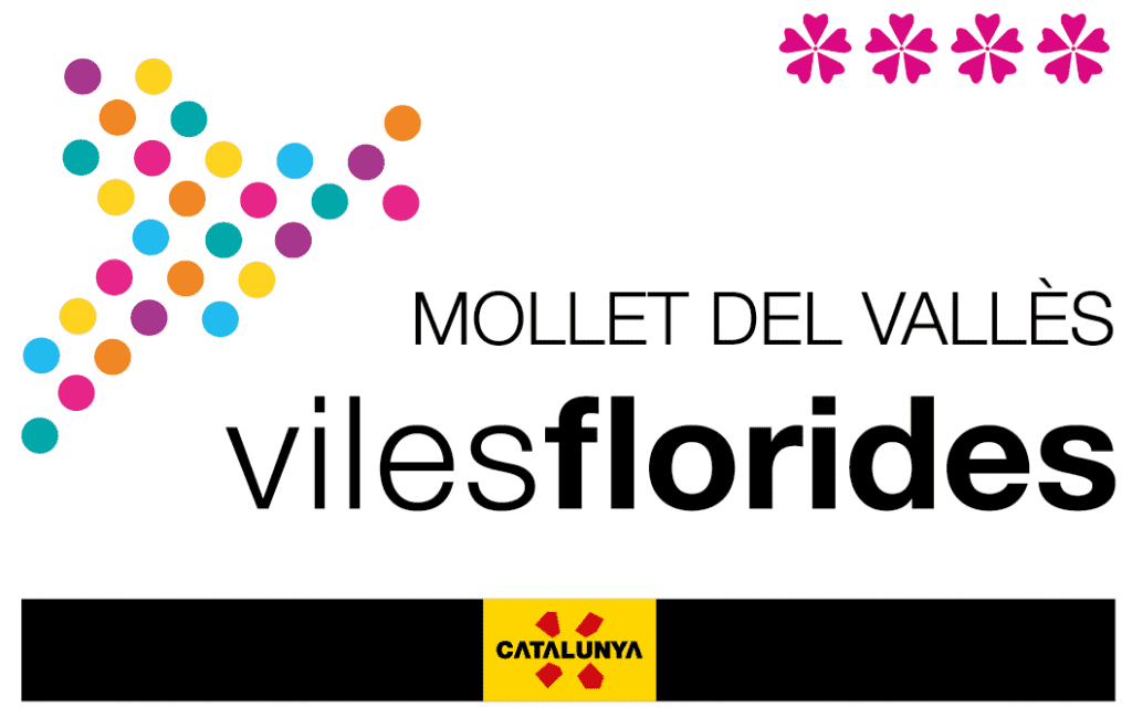 viles-florides.png