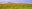 ExpoGallecs_11-2048x585.jpg