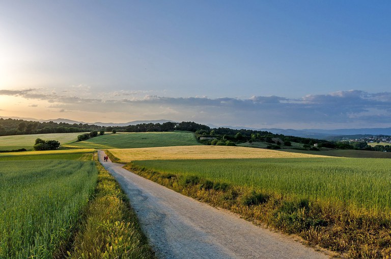 PAISATGE-DESDE-CAM÷-SANT-VALERI∑-C155.jpg