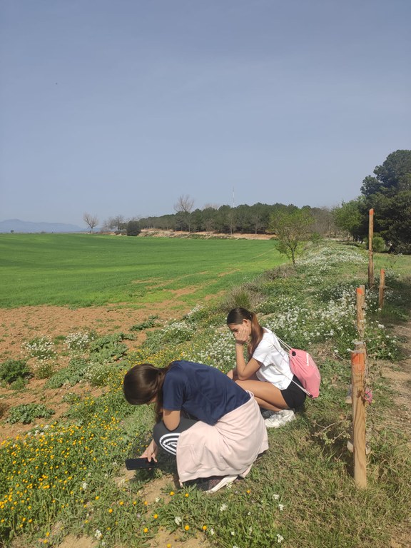 Buscant al Parc dels Pinetons espècies de flora i fauna