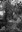 7614_mina can magre anys 40.jpg