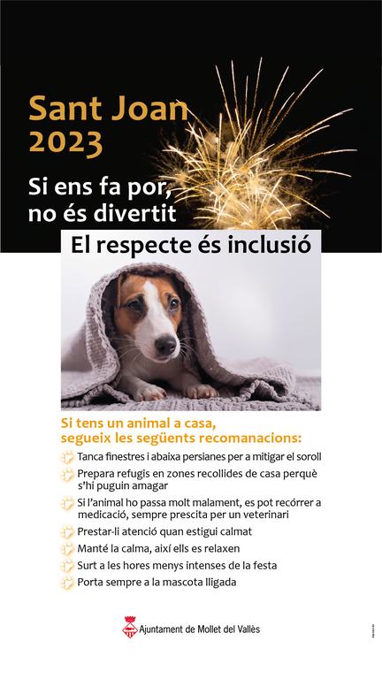 gos sant joan.png