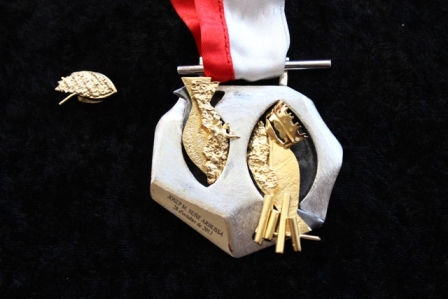 Medalla de la Ciutat.jpg