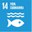 14-vida-submarina-150x150.jpg