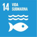 14-vida-submarina-150x150.jpg