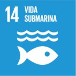 14-vida-submarina-150x150.jpg