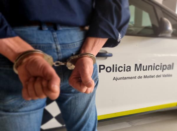 DETINGUT-POLICIA.jpg