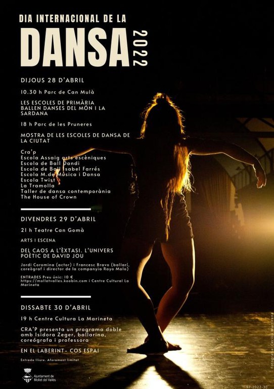 DID-A4-Programa.jpg