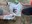IMG-6407.jpeg