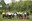 Viles-Florides2.JPG