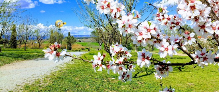 Primavera Pinetons.jpg