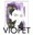 VioPet-interior.jpg