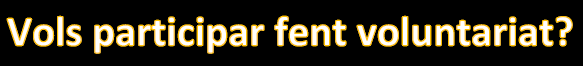 voluntariat 23.png